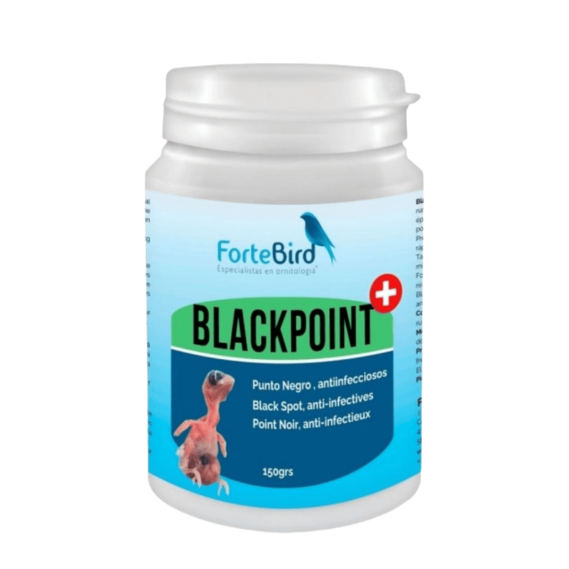 ForteBird Black Point - New York Bird Supply