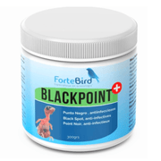ForteBird Black Point - New York Bird Supply