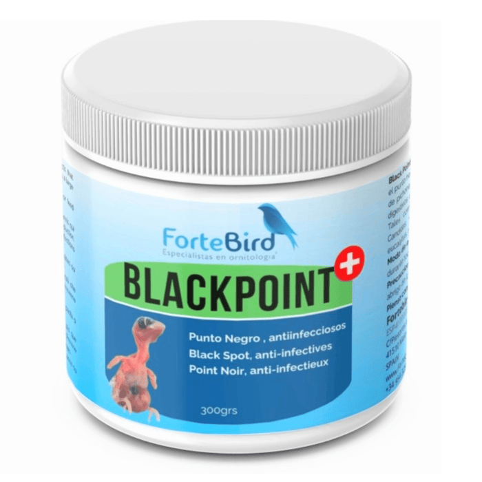 ForteBird Black Point - New York Bird Supply