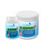 ForteBird Black Point - New York Bird Supply