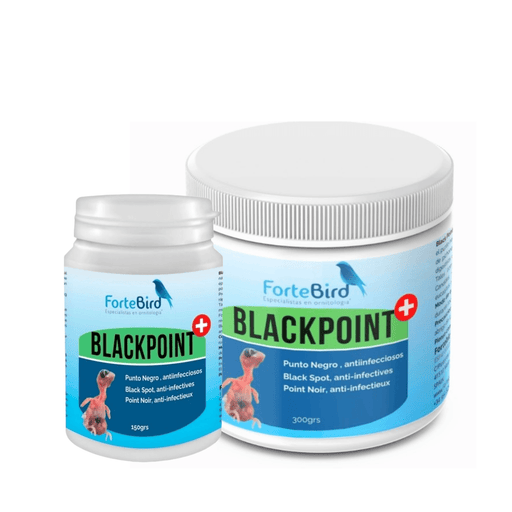 ForteBird Black Point - New York Bird Supply