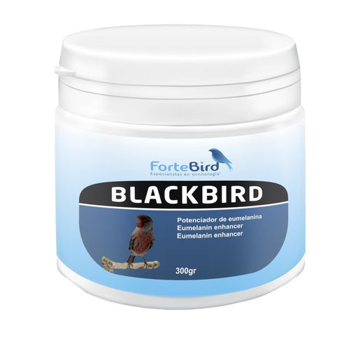 ForteBird BlackBird 300 g - New York Bird Supply