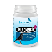 ForteBird BlackBird - New York Bird Supply