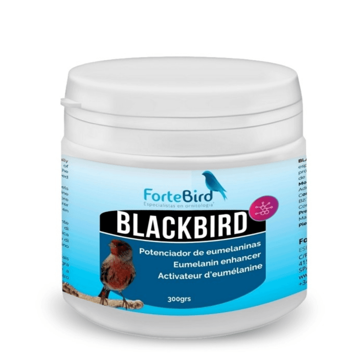 ForteBird BlackBird - New York Bird Supply