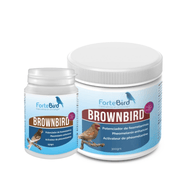 ForteBird BrownBird - New York Bird Supply
