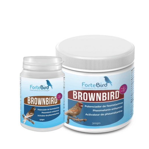ForteBird BrownBird - New York Bird Supply