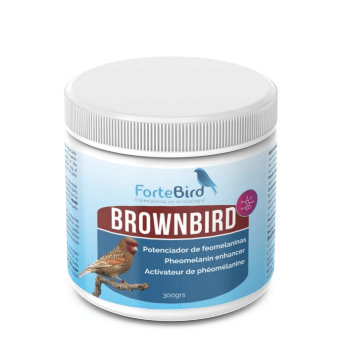 ForteBird BrownBird - New York Bird Supply