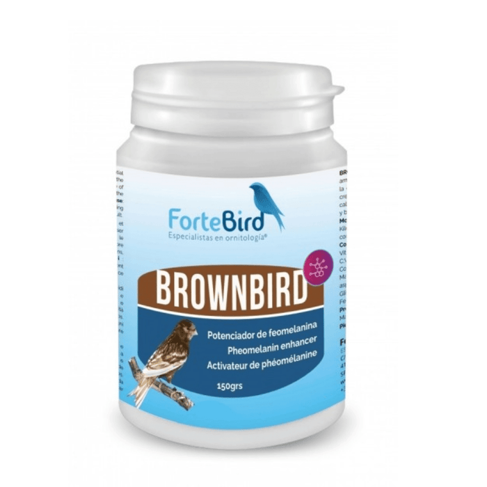 ForteBird BrownBird - New York Bird Supply