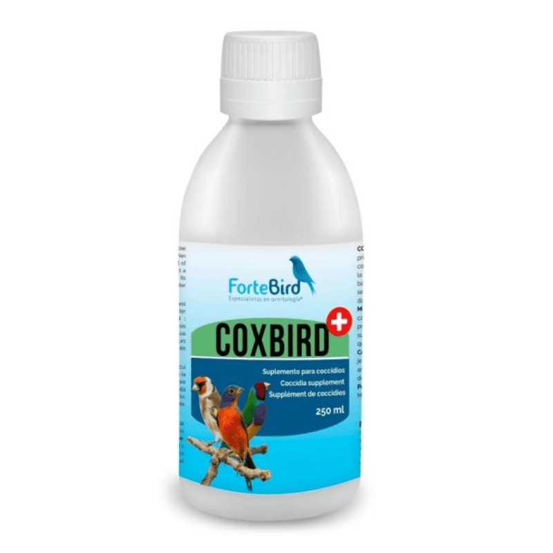 ForteBird CoxBird - New York Bird Supply