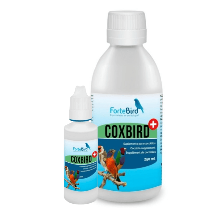 ForteBird CoxBird - New York Bird Supply