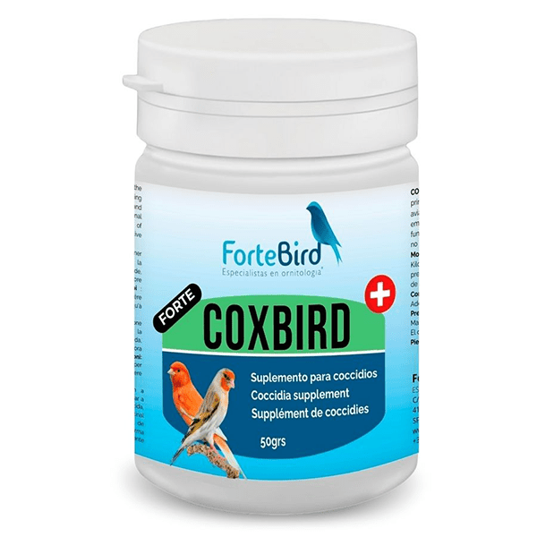 ForteBird CoxBird Forte - New York Bird Supply