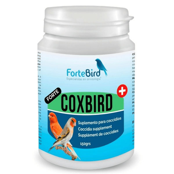 ForteBird CoxBird Forte - New York Bird Supply