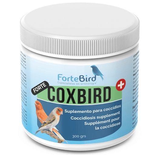 ForteBird CoxBird Forte - New York Bird Supply