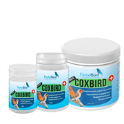 ForteBird CoxBird Forte - New York Bird Supply