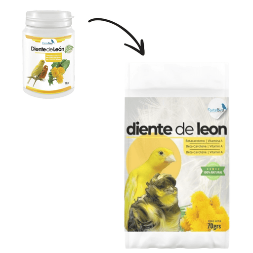 ForteBird Diente de León 70g (Dandelion Powder) - New York Bird Supply