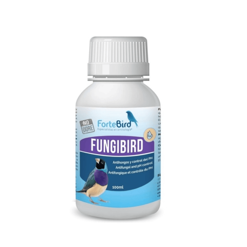 ForteBird FungiBird - New York Bird Supply