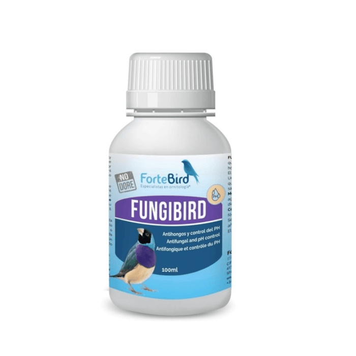 ForteBird FungiBird - New York Bird Supply