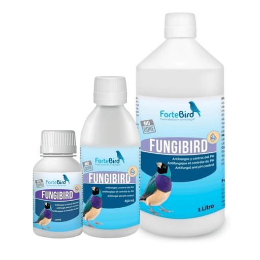 ForteBird FungiBird - New York Bird Supply