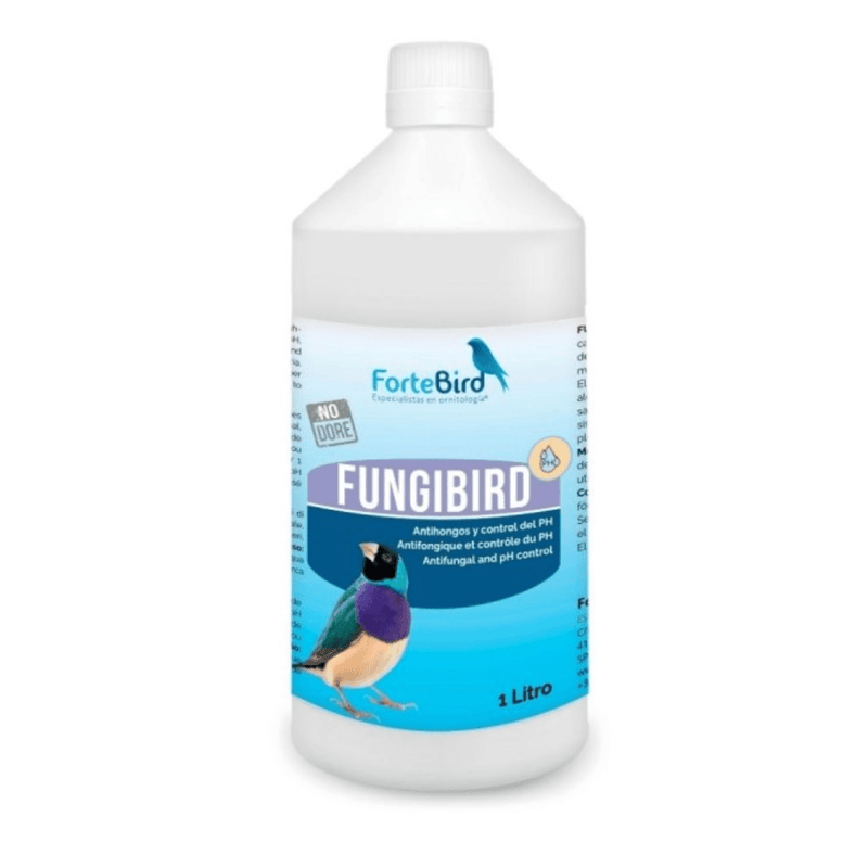 ForteBird FungiBird - New York Bird Supply