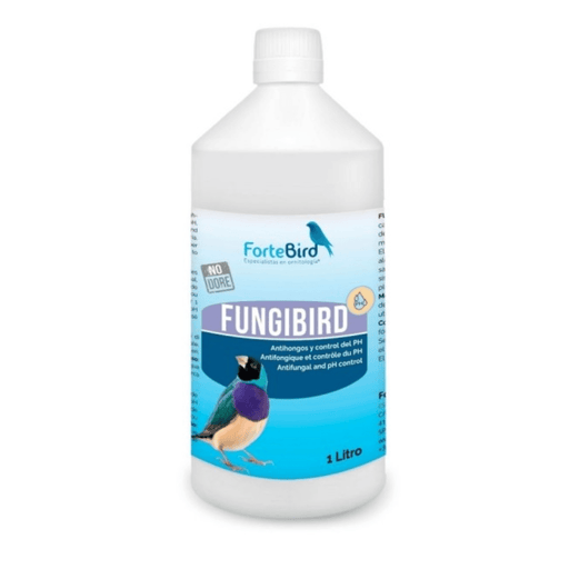 ForteBird FungiBird - New York Bird Supply