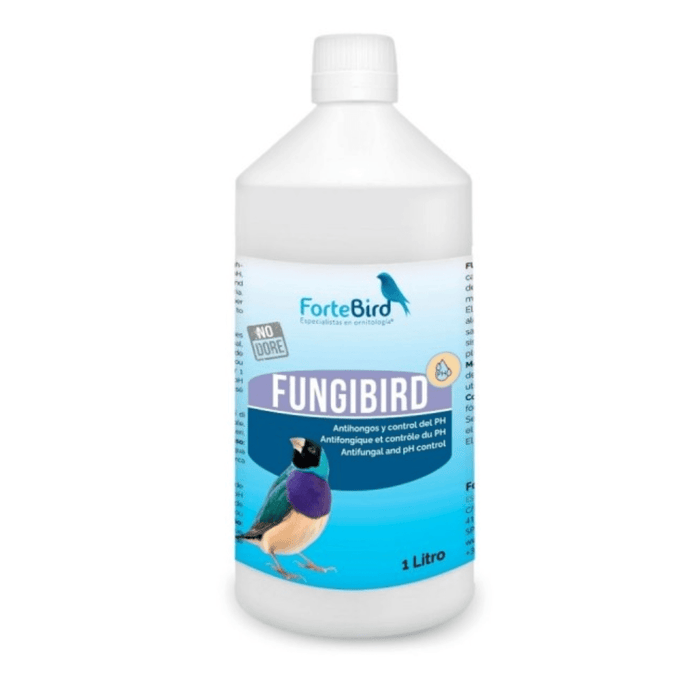 ForteBird FungiBird - New York Bird Supply