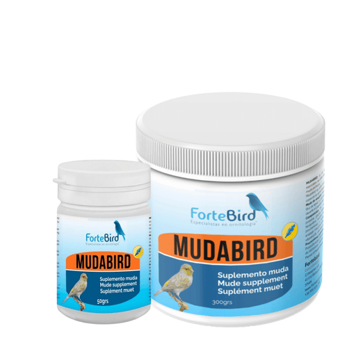 ForteBird MudaBird - New York Bird Supply