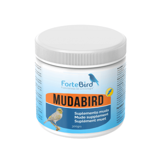 ForteBird MudaBird - New York Bird Supply