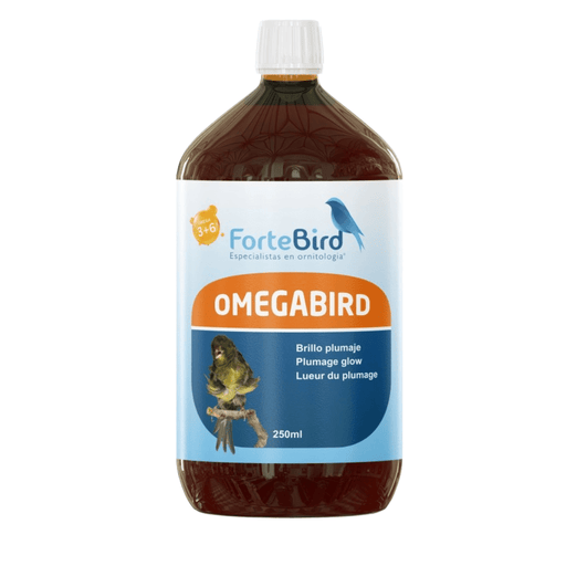 ForteBird OmegaBird - New York Bird Supply