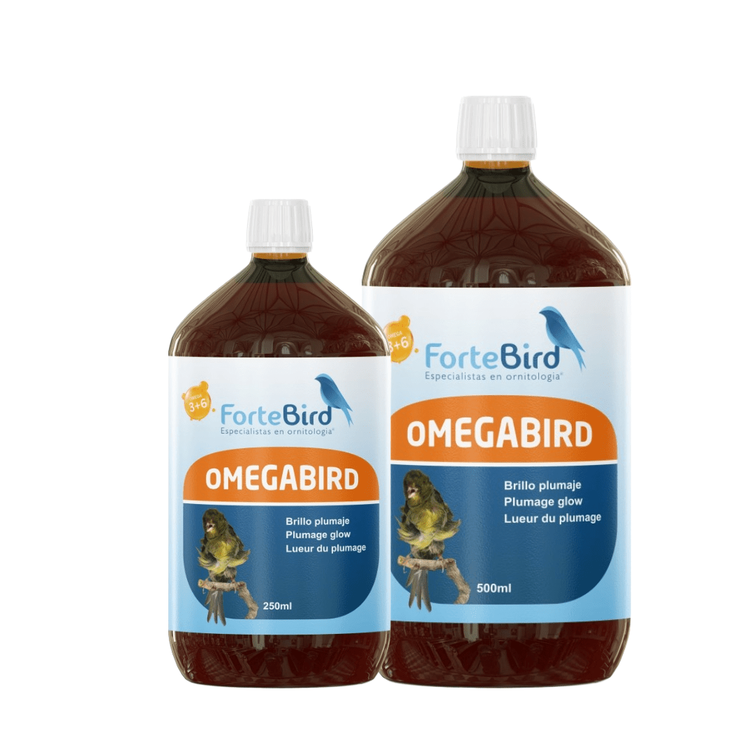 ForteBird OmegaBird — New York Bird Supply