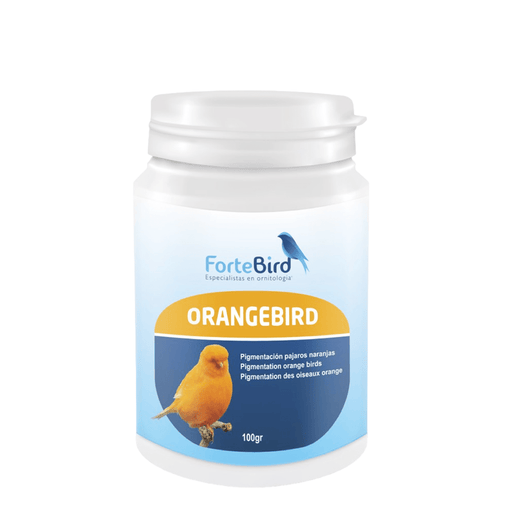 ForteBird OrangeBird - New York Bird Supply