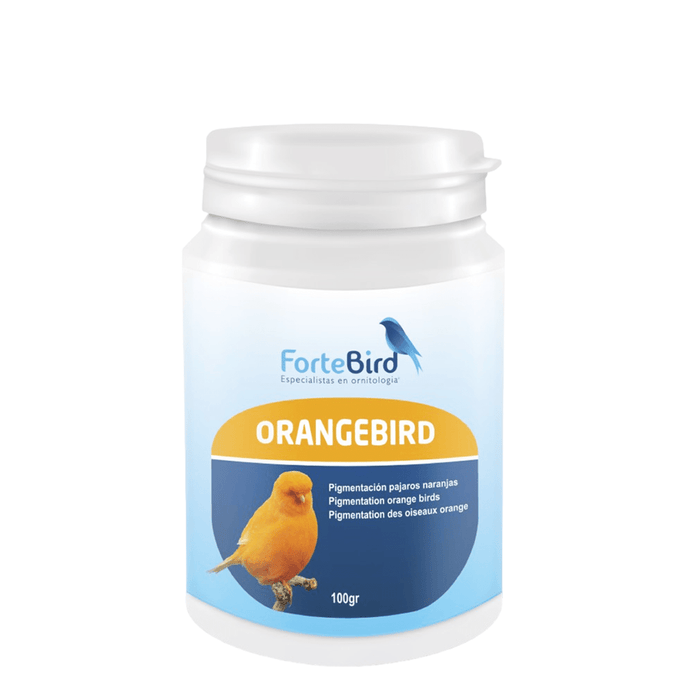ForteBird OrangeBird - New York Bird Supply