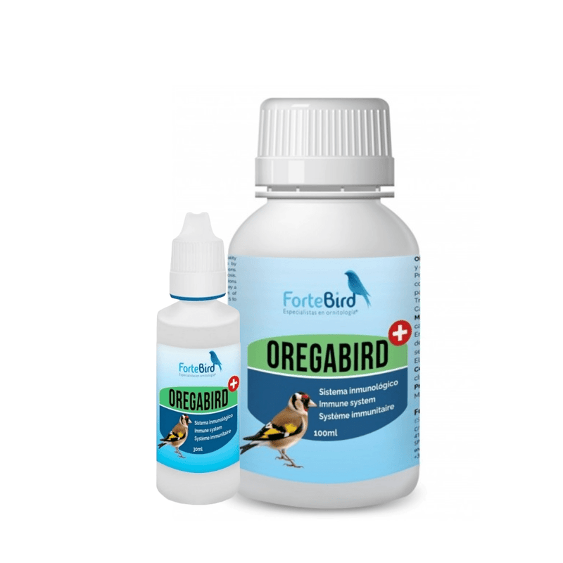 ForteBird OregaBird - New York Bird Supply