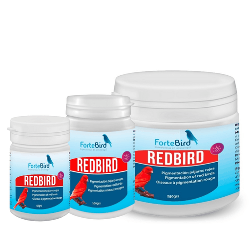 ForteBird RedBird - New York Bird Supply