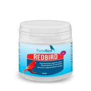 ForteBird RedBird - New York Bird Supply