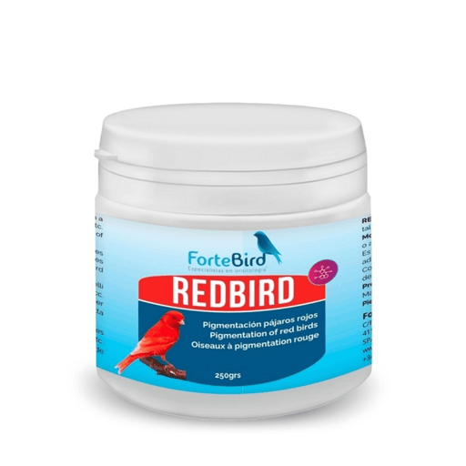 ForteBird RedBird - New York Bird Supply