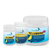 ForteBird YellowBird - New York Bird Supply