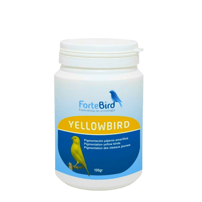 ForteBird YellowBird - New York Bird Supply