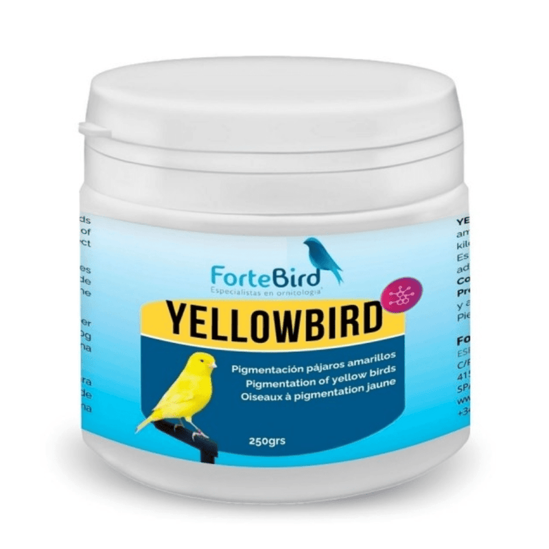 ForteBird YellowBird - New York Bird Supply