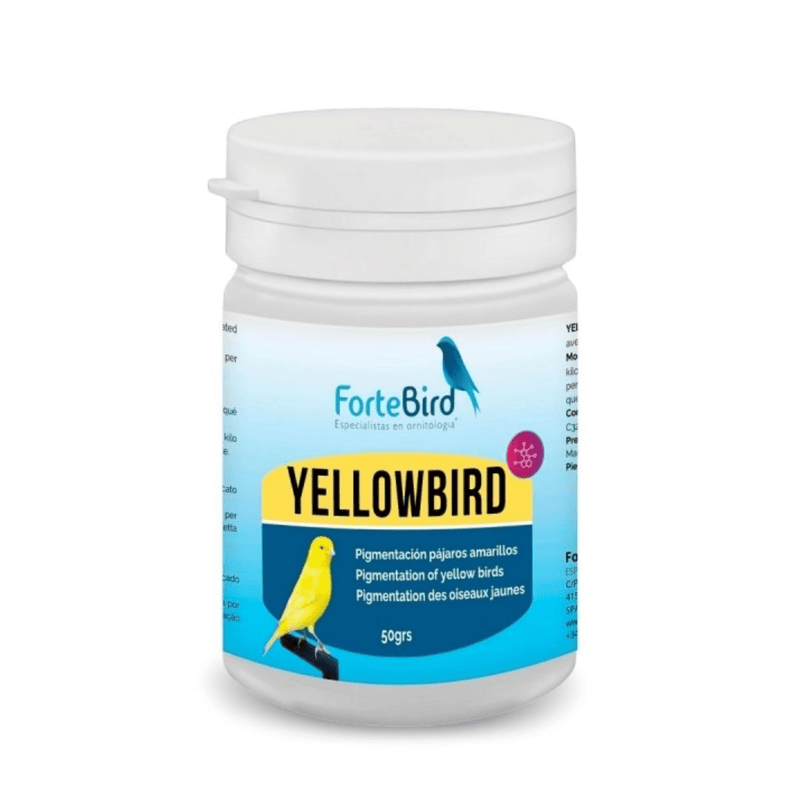 ForteBird YellowBird - New York Bird Supply