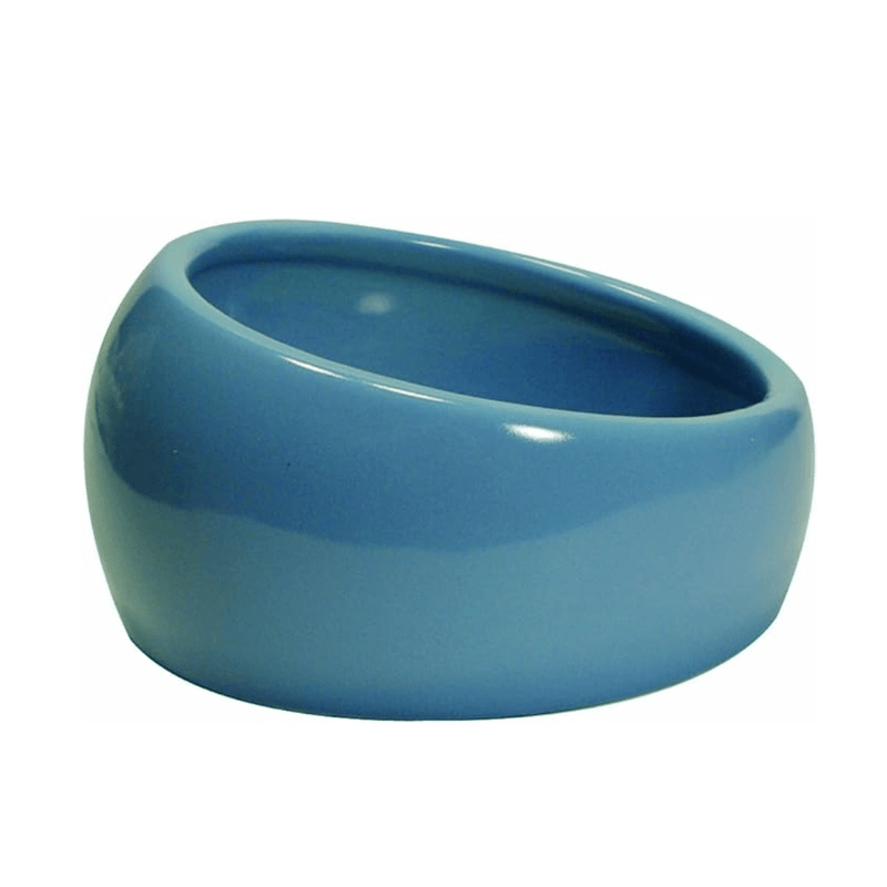 Hagen Living World Ergonomic Dish - Small - New York Bird Supply