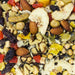 Higgins Sunburst Treats Fruit to Nuts 5 oz - New York Bird Supply