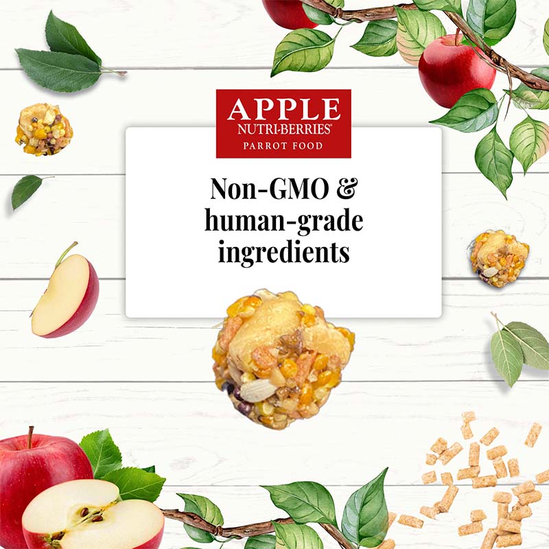 Lafeber Apple Nutri - Berries Parrots 10 oz - New York Bird Supply