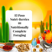 Lafeber El - Paso Nutri - Berries for Small birds - New York Bird Supply