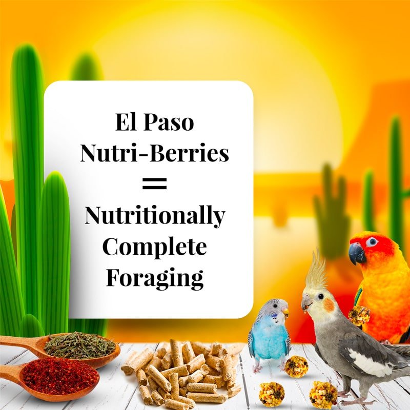Lafeber El - Paso Nutri - Berries for Small birds - New York Bird Supply