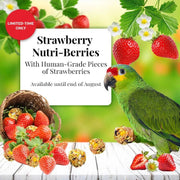 Lafeber Strawberry Nutri - Berries for Parrots - New York Bird Supply