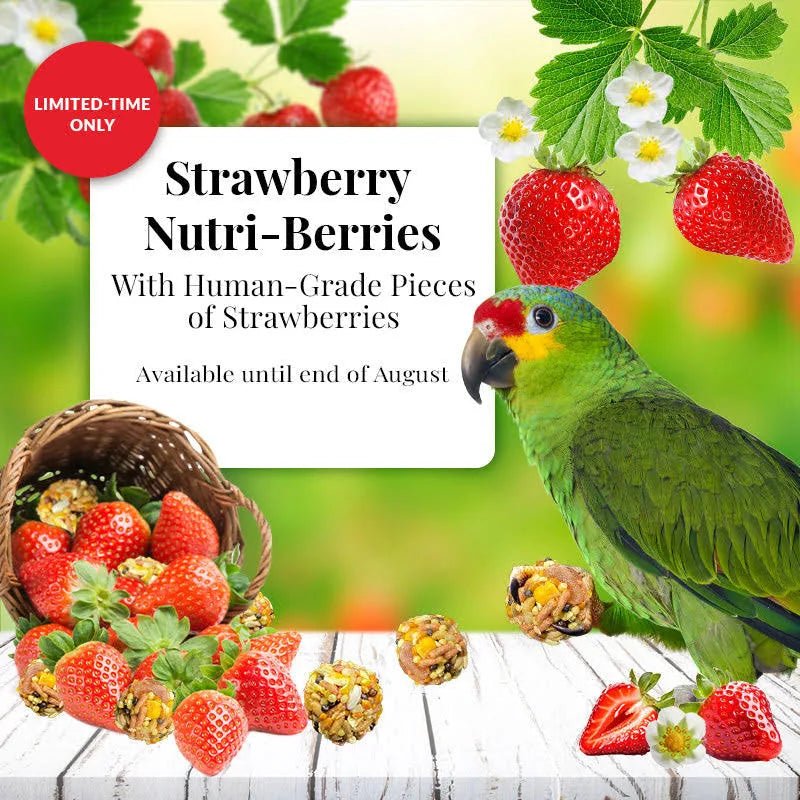 Lafeber Strawberry Nutri - Berries for Parrots - New York Bird Supply