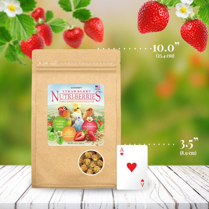 Lafeber Strawberry Nutri - Berries for Small birds - New York Bird Supply