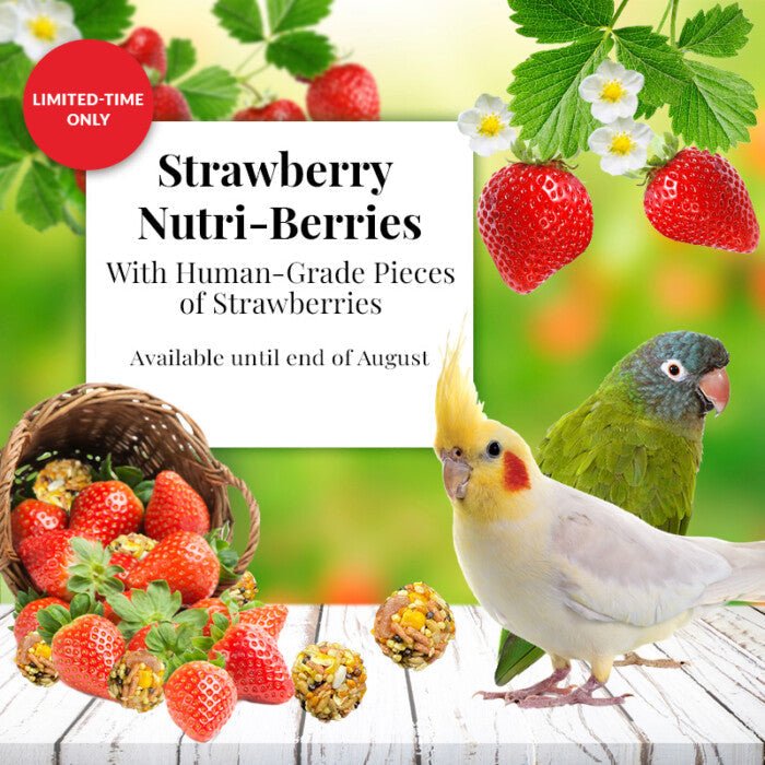 Lafeber Strawberry Nutri - Berries for Small birds - New York Bird Supply