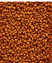 NutriBird G18 Original Pellets 22 lb - New York Bird Supply