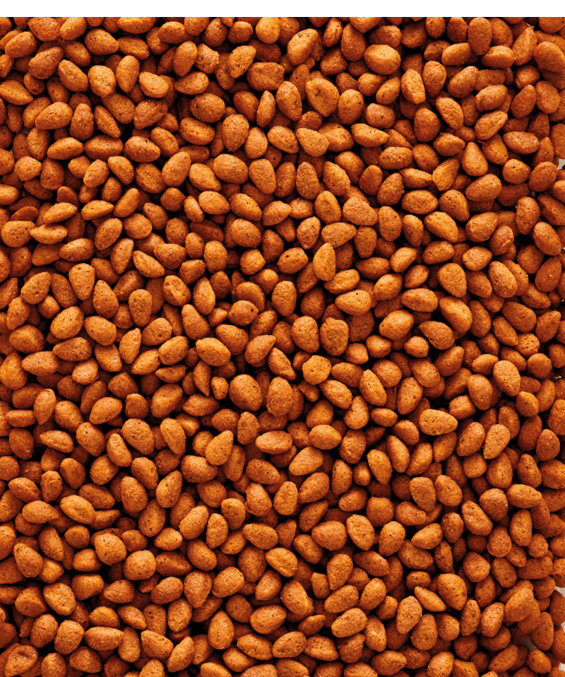 NutriBird G18 Original Pellets 22 lb - New York Bird Supply